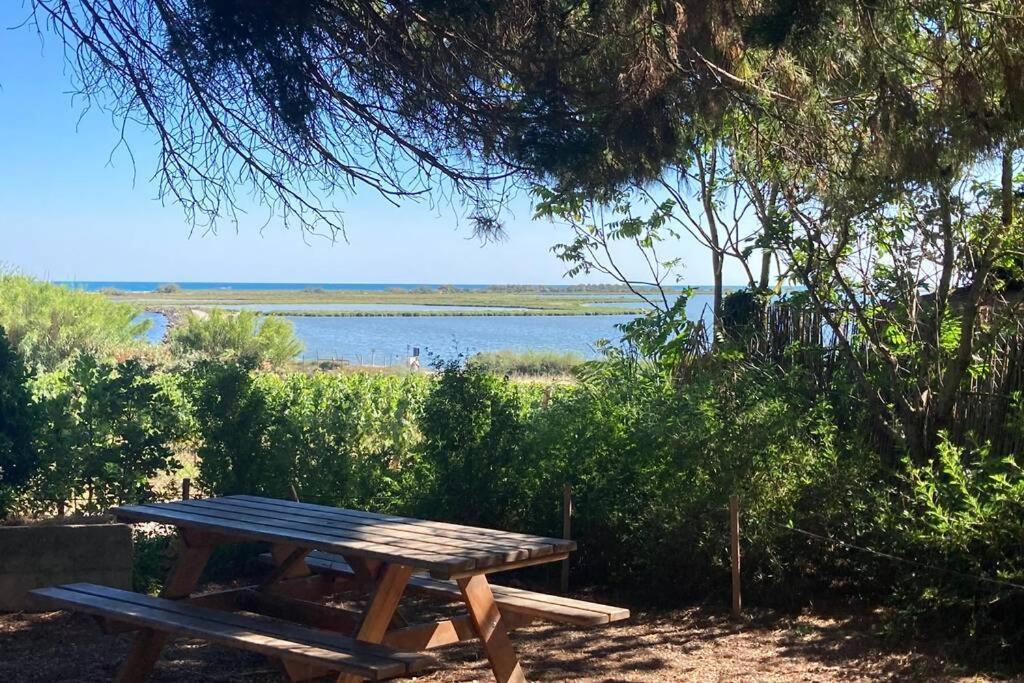 Magnifique Villa Avec Piscine Villeneuve-lès-Maguelonne Exteriör bild