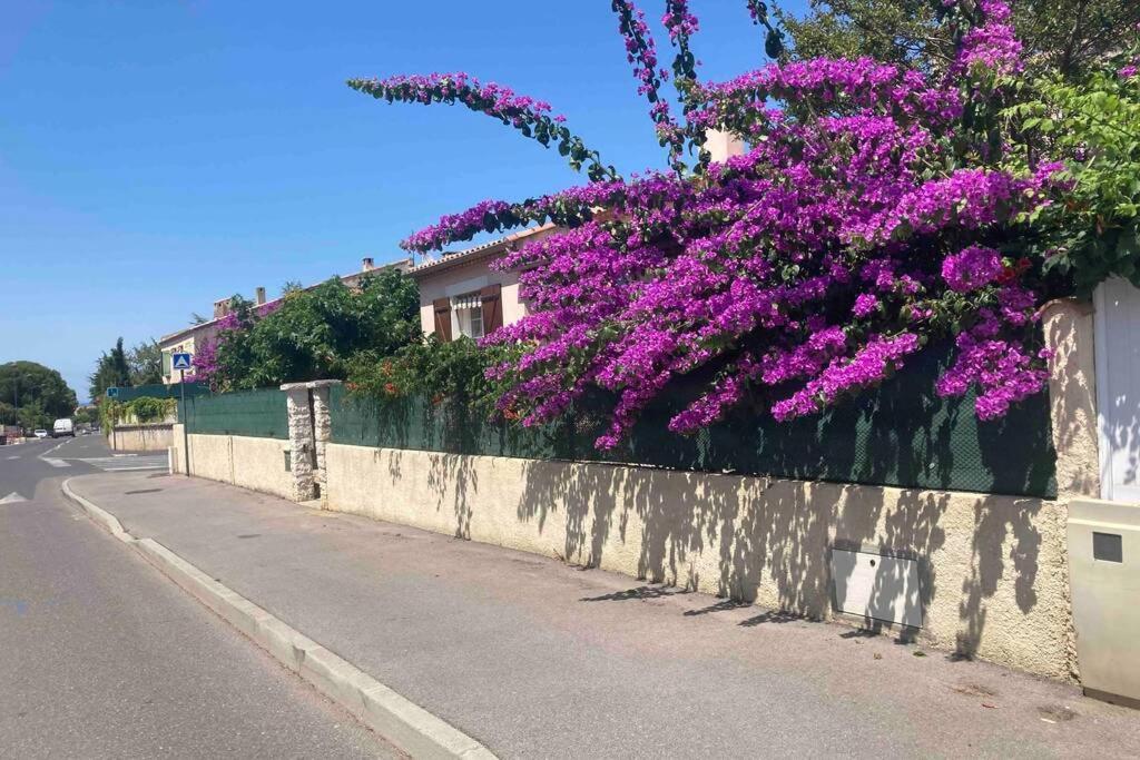 Magnifique Villa Avec Piscine Villeneuve-lès-Maguelonne Exteriör bild